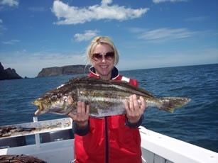 Striped Trumpeter
